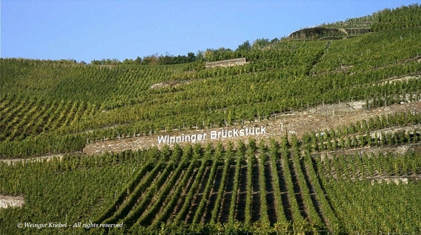 Weingut Knebel | Winninger Brückstück Feinherb 2008 | Label