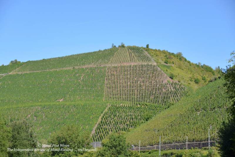 Wiltinger braune Kupp | VDP.Grosse Lage | Vineyard | Weinberg | Terroir | Picture | Bild