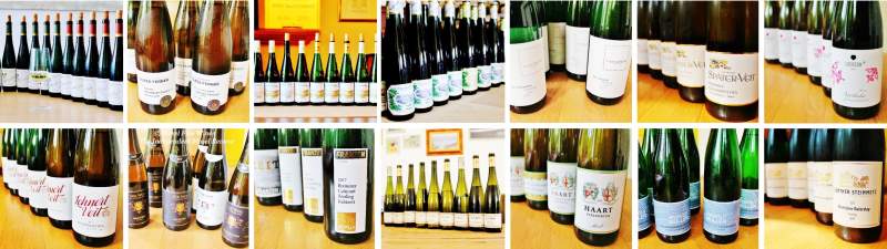 2017 Vintage Report | Mosel | Riesling | Wine | Picture