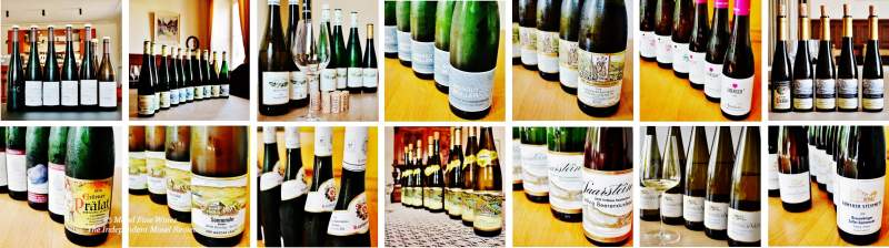 2018 Vintage Report | Mosel | Riesling | Wine | Picture
