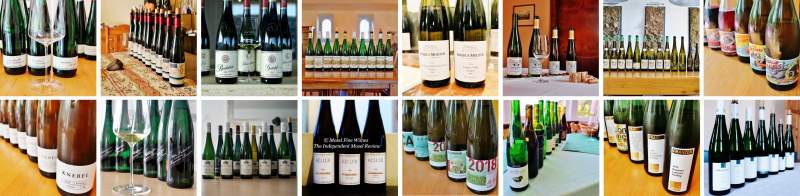 2018 Vintage Report | Mosel | Riesling | Wine | Picture