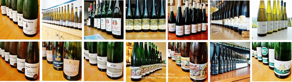 2021 Vintage Report | Mosel | Riesling | Wine | Picture