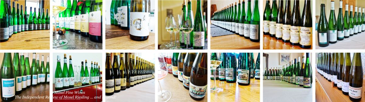 2022 Vintage Report | Mosel | Riesling | Wine | Picture