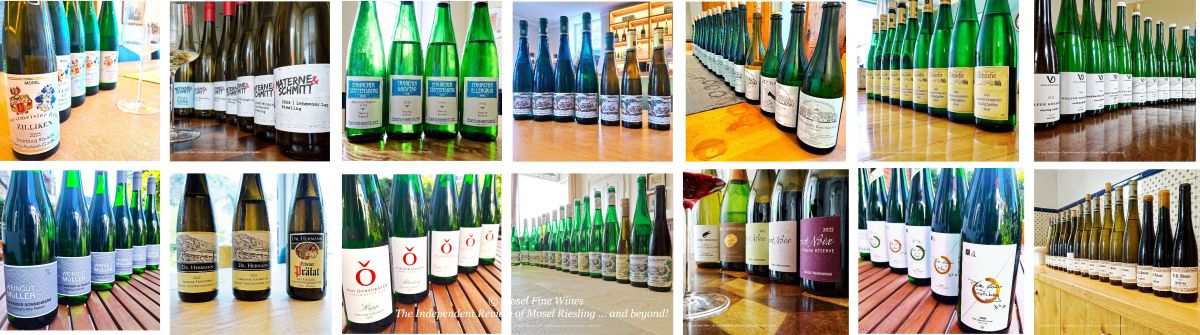 2025 Vintage Report | Mosel | Riesling | Wine | Picture