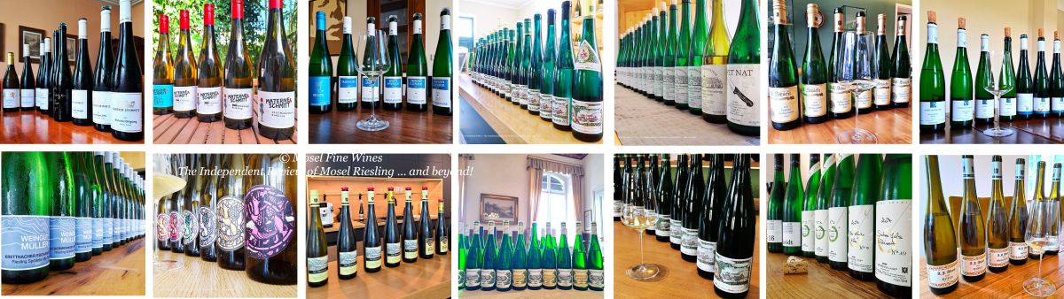 2024 Vintage Report | Mosel | Riesling | Wine | Picture
