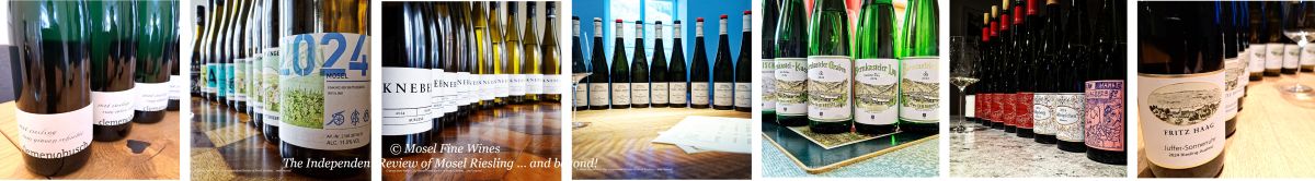 2024 Vintage Report | Mosel | Riesling | Wine | Picture