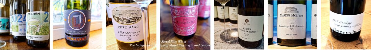 2024 dry German Riesling | VDP | Grosses Gewächs | Riesling | Wine | Picture